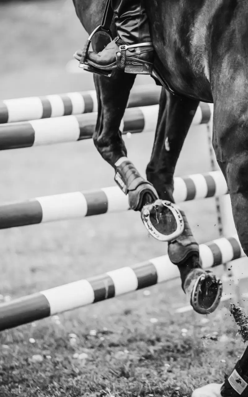 Photo de Cavalière saut d’obstacle
